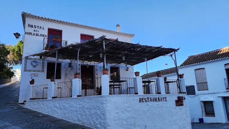 Mijas Magic - Joyería en Mijas - foto 2