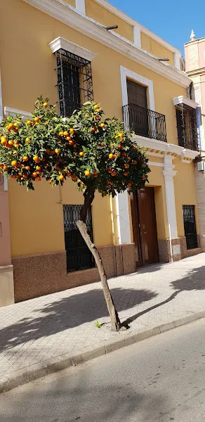 Compra Venta Relojes Sevilla. Alberto Ojeda Campuzano - Relojería en Alcalá de Guadaíra - foto 2